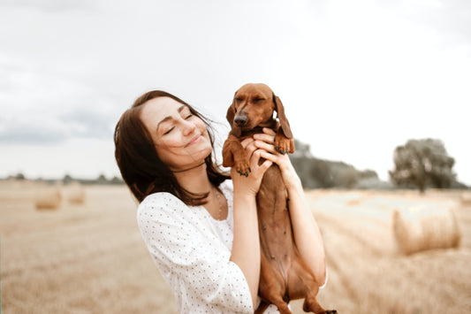 Why Do Dogs Bark at Doorbells?