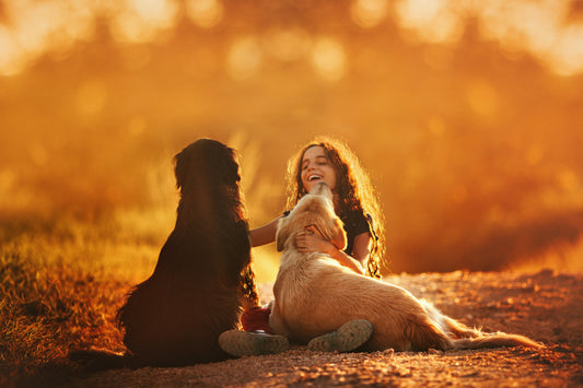 Why Do Dogs Bark at Children?