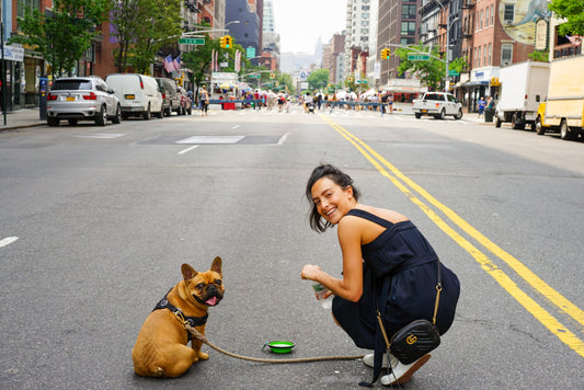 Why Do Dogs Bark at Sirens?