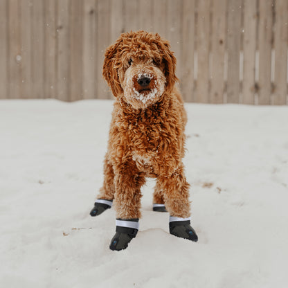 Small Dog Boots