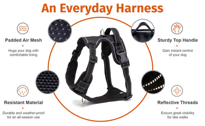 Medium Dog Harness