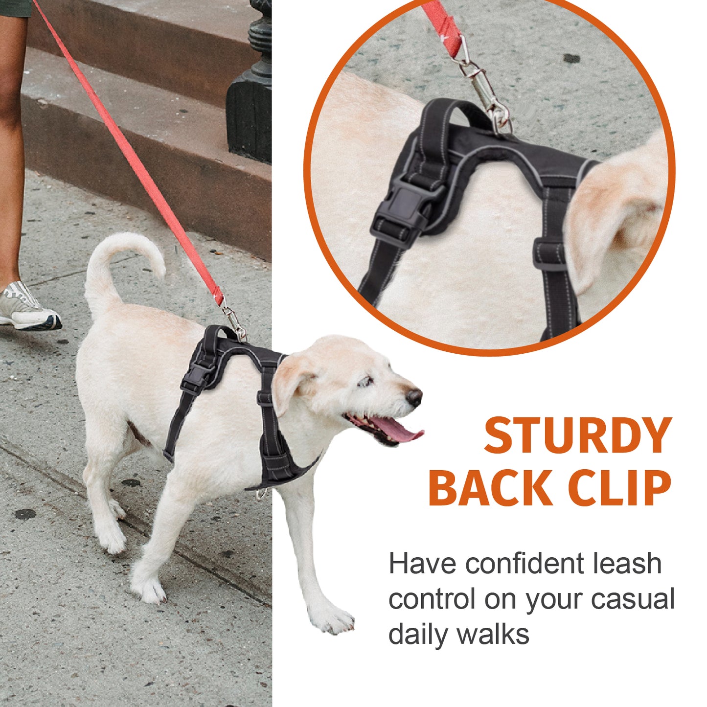 Medium Dog Harness