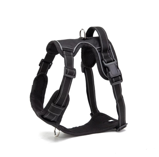 Small Dog Harness